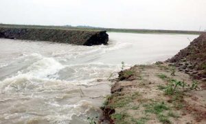 হহ