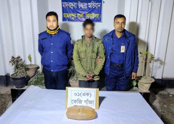 মহেশপুরে গাঁজাসহ মাদক বিক্রেতা আটক