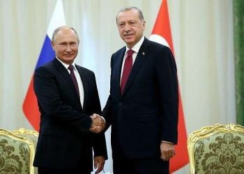 এরদোগানকে ইউক্রেনে সংলাপে রাশিয়ার সদিচ্ছার কথা জানিয়েছেন পুতিন