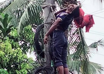 মহেশপুরে বিদ্যুতের পোলে ঝুলছে ডিস লাইনম্যান
