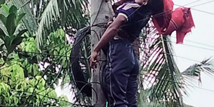 মহেশপুরে বিদ্যুতের পোলে ঝুলছে ডিস লাইনম্যান