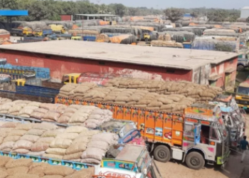 সোনামসজিদ স্থলবন্দর দিয়ে ৭৪০ টন পেঁয়াজ আমাদানি